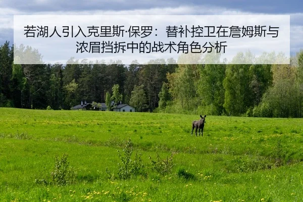 ruo-hu-ren-yin-ru-ke-li-si-bao-luo-ti-bu-kong-wei-zai-zhan-mu-si-yu-nong-mei-dang-chai-zhong-de-zhan-shu-jue-se-fen-xi-2-605.jpg