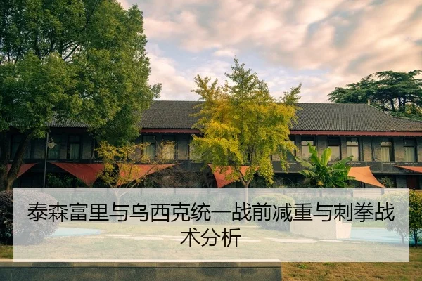 泰森富里与乌西克统一战前减重与刺拳战术分析