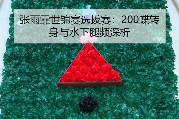张雨霏世锦赛选拔赛：200蝶转身与水下腿频深析