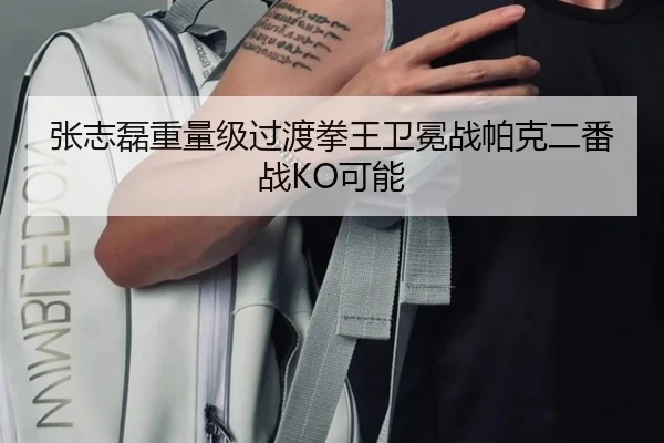张志磊重量级过渡拳王卫冕战帕克二番战KO可能