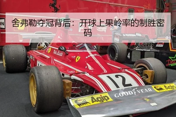 she-fu-lei-duo-guan-bei-hou-kai-qiu-shang-guo-ling-lv-de-zhi-sheng-mi-ma-2-453.jpg