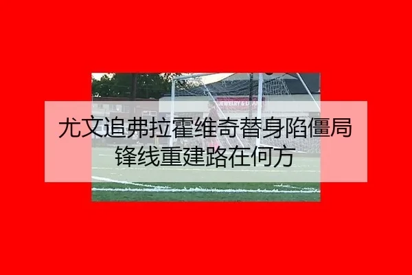尤文追弗拉霍维奇替身陷僵局 锋线重建路在何方